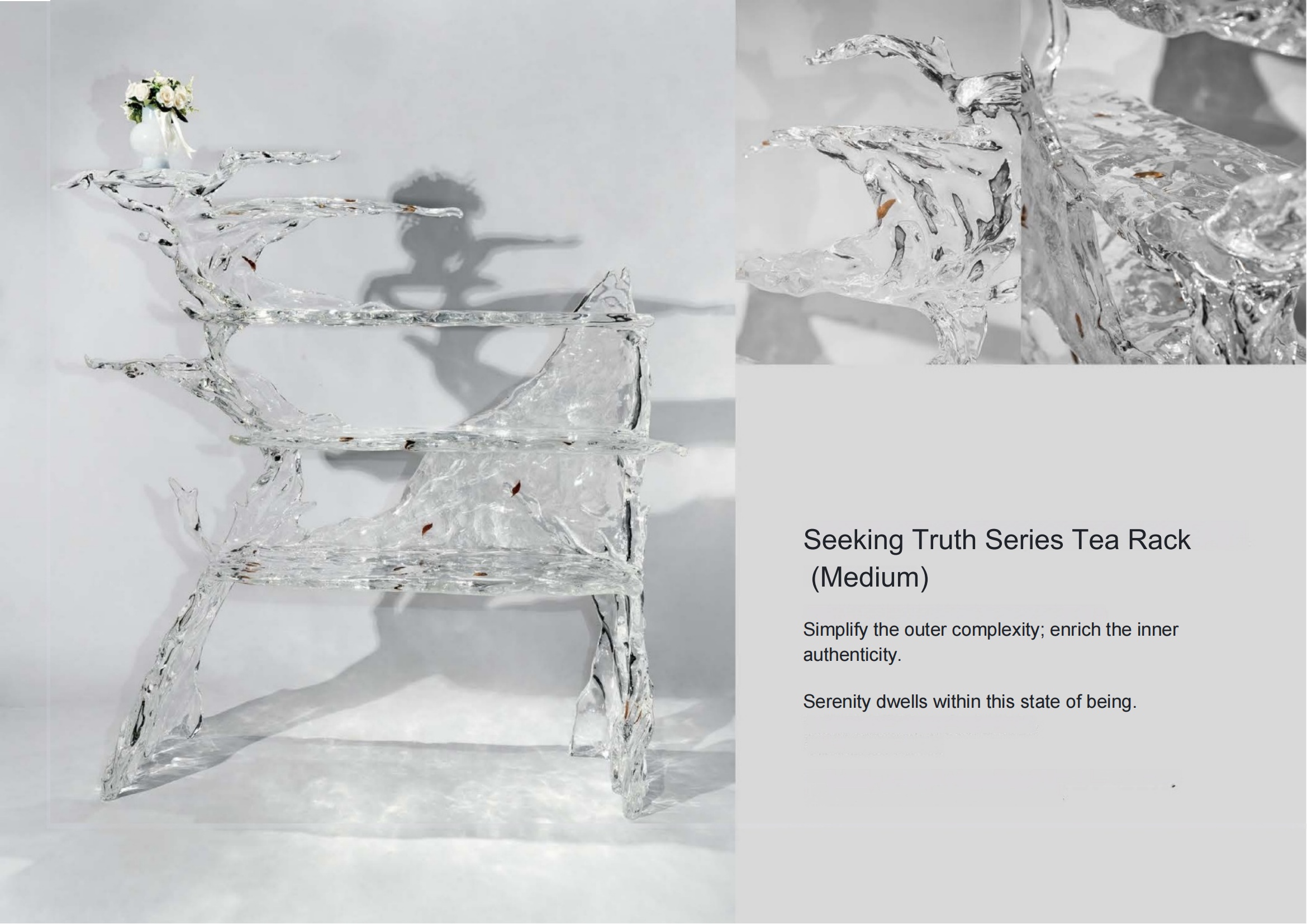Seeking Truth Series Medium